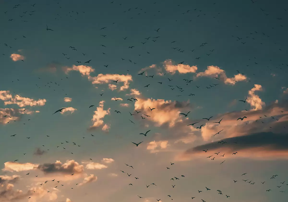 Cielo, © Aron Visuals / Unsplash