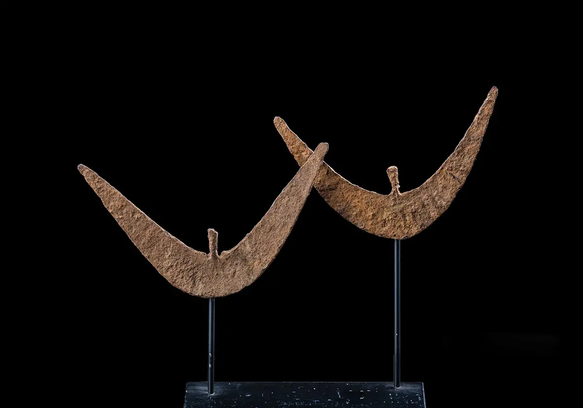Sakania. Monete a forma di lama di vanga. Ciad. Sara. Musec, Collezione Antonini.
