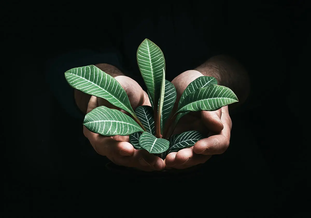 Sosteniblità, © Jan Kopriva / Unsplash