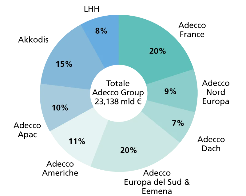 Ricavi suddivisi per segmento in %, fatturato 2024