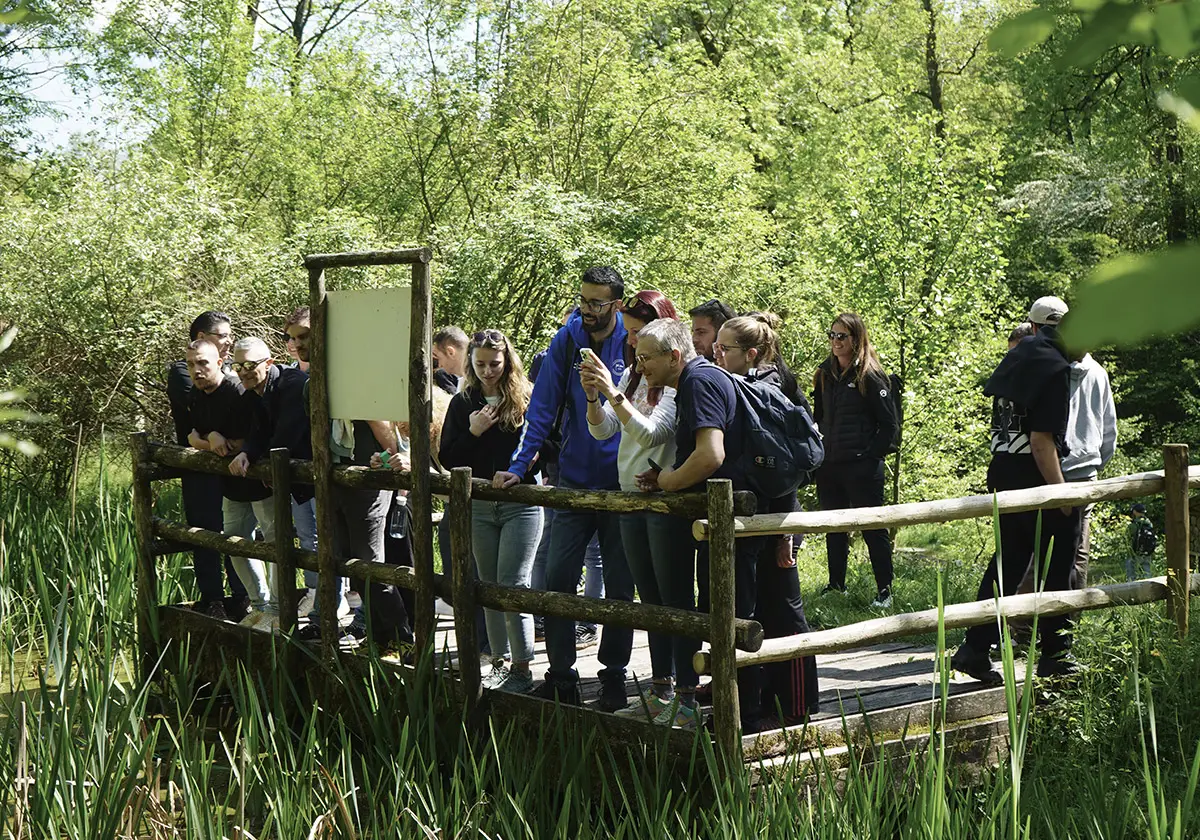 Staff di Argor-Heraeus, team building