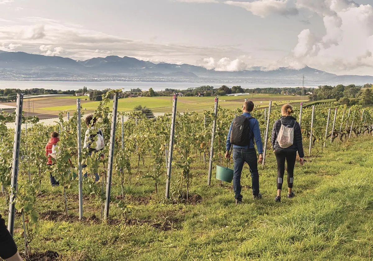 Esperienze enoturistiche, © Swiss Wine Promotion